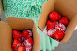 Wimbledon-jarðarberin eru vinsæl núna. Þau eru borin fram köld með rjóma og smakkast guðdómlega ef …
