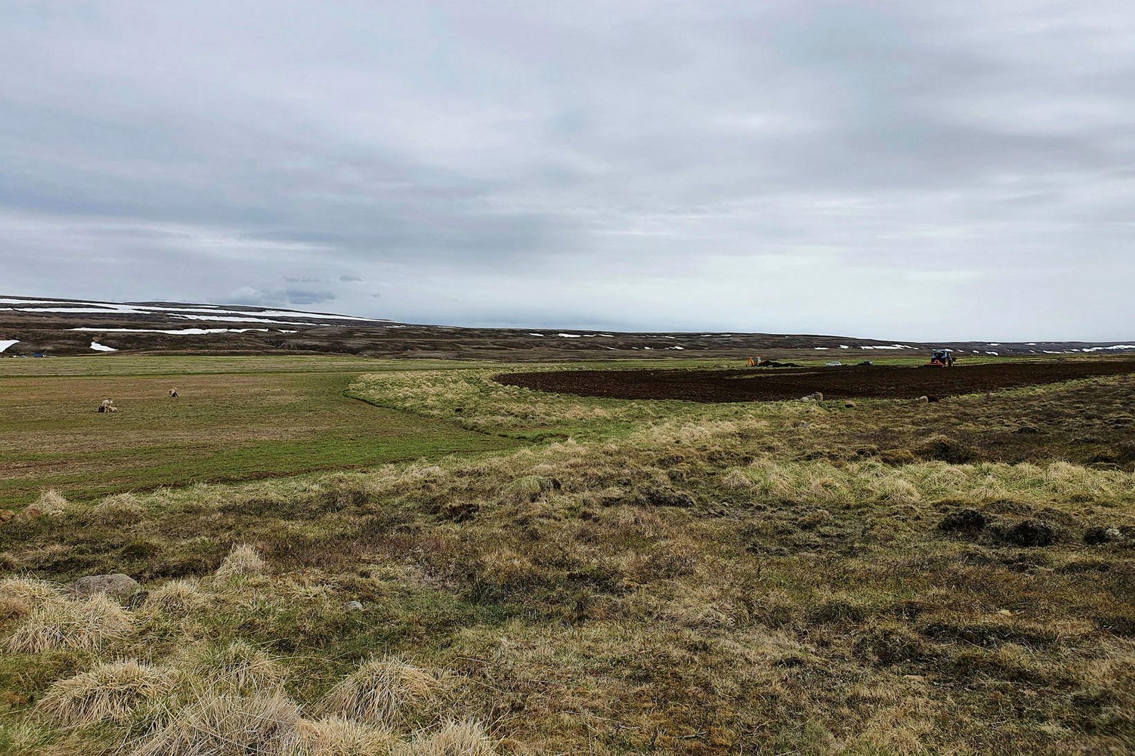 Hann segir að tíminn einn leiði það í ljós hversu …