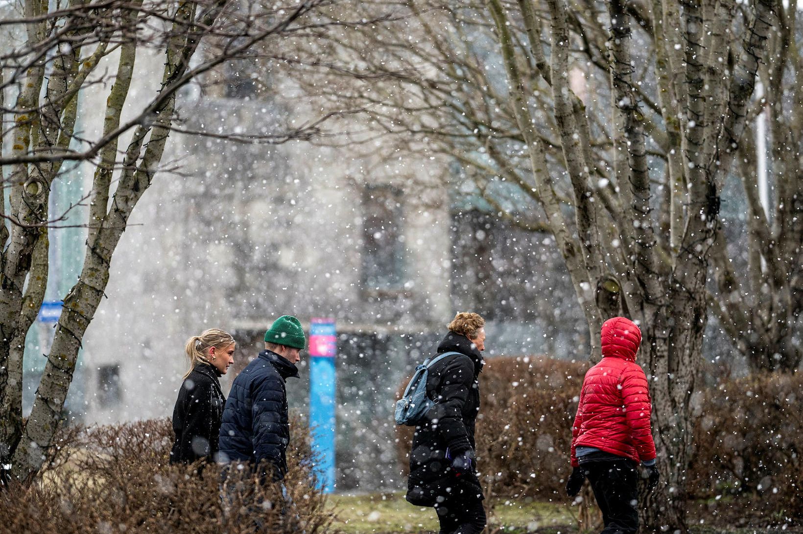 Ekki líklegt að kynhlutlaust mál verði „ráðandi“