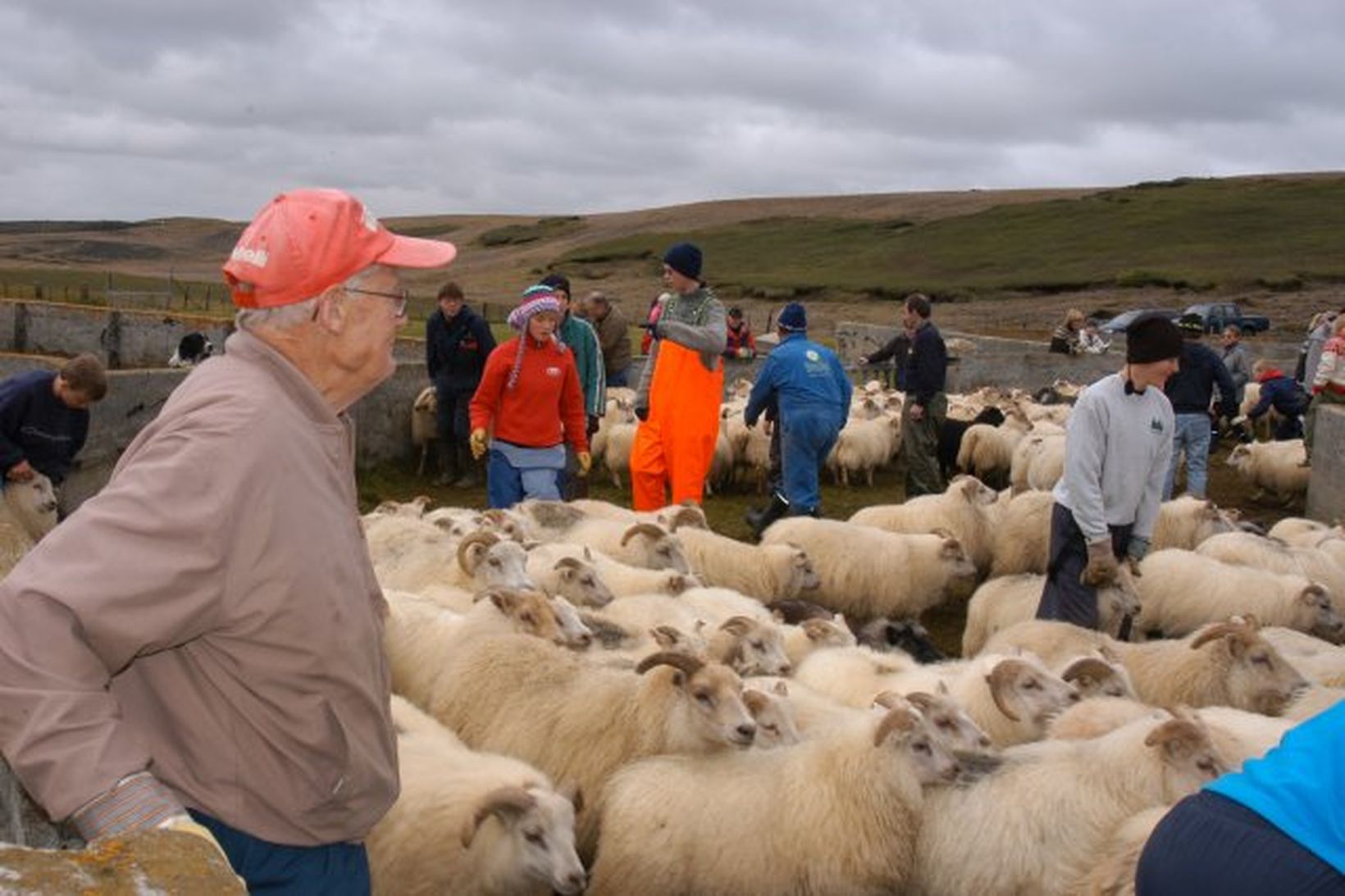 Réttað verður í Baldursheimsrétt á morgun.