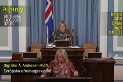 Sigríður í pontu Alþingis í nótt.