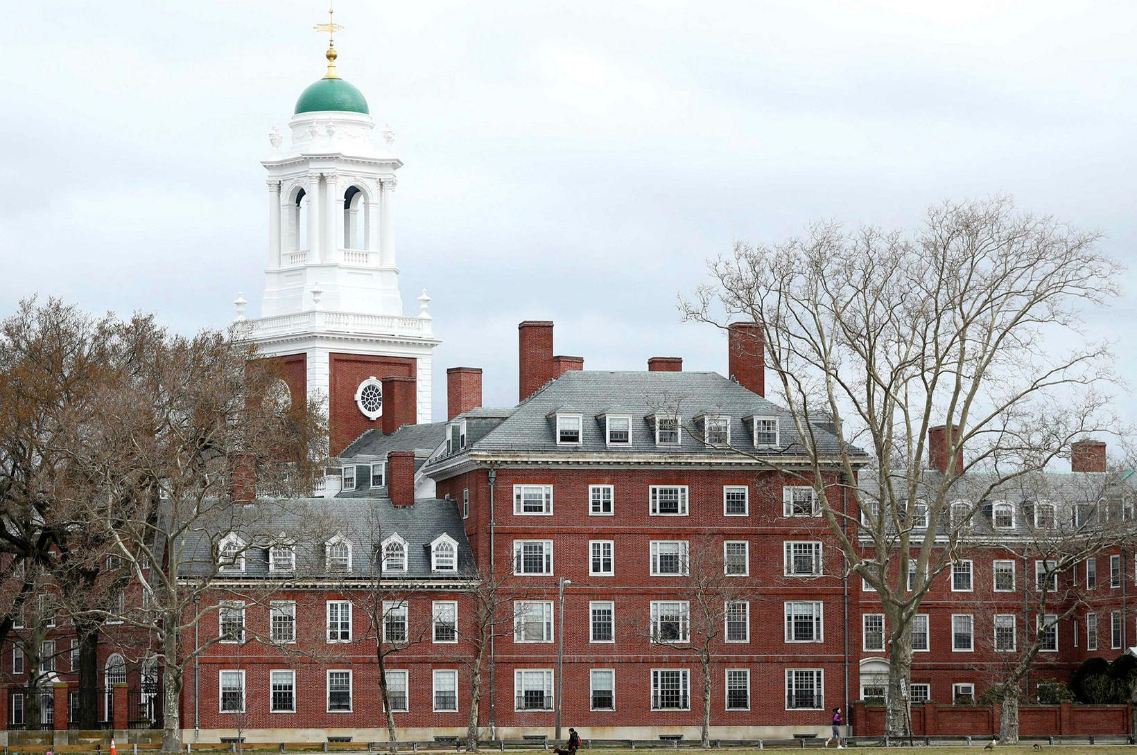 Stjórnendur Harvard segja nei við kröfum Trumps 
