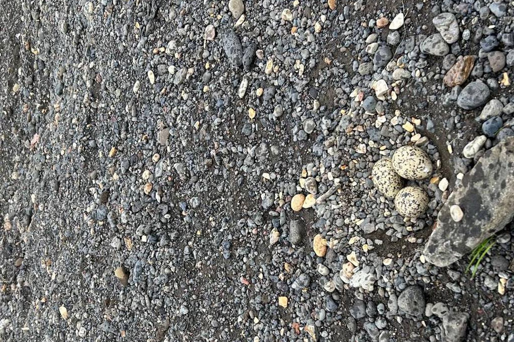 Eftir að hafa áður lagt undir sig bílastæðið og breytt …