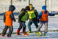 Gervigrasvöllur Fram í Úlfarsárdal