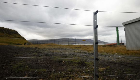Segir Hval hafa reist ólöglega rafmagnsgirðingu