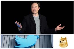 Elon Musk, eigandi Twitter, tilkynnti í gær um breytinguna með tveimur tístum, en frekari upplýsingar …