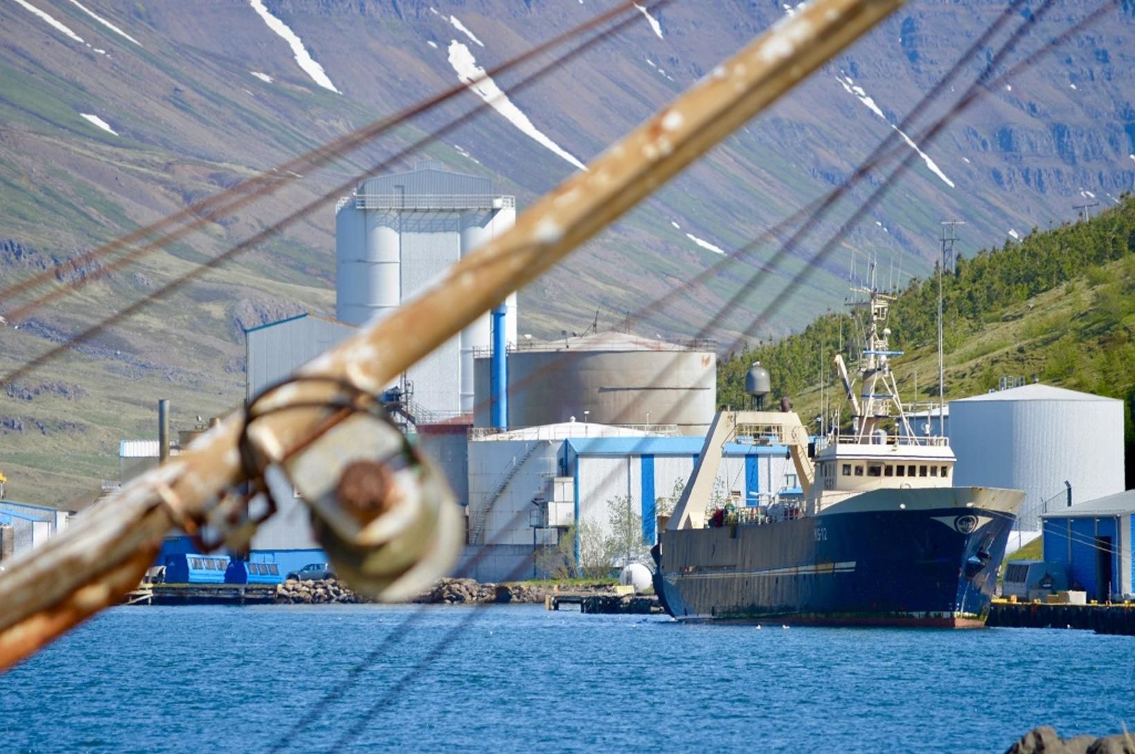 Vinnsla hafin á ný í frystihúsinu á Seyðisfirði