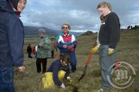 Gróðursetning