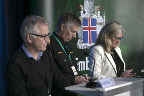 Þórólfur Guðnason, Víðir Reynisson and Alma Möller.