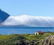 Hafnarhólminn Borgarfjörður eystri lundar