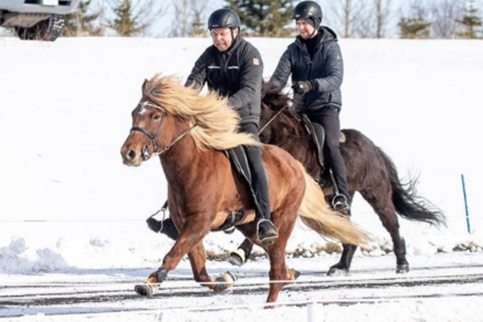 Keppt verður á Selfossi á morgun.