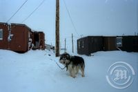 Resolute Bay