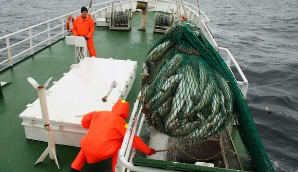 Munur á aflatölum þegar eftirlit er með veiði