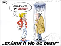 Teikningin - mið.11.jún.2025