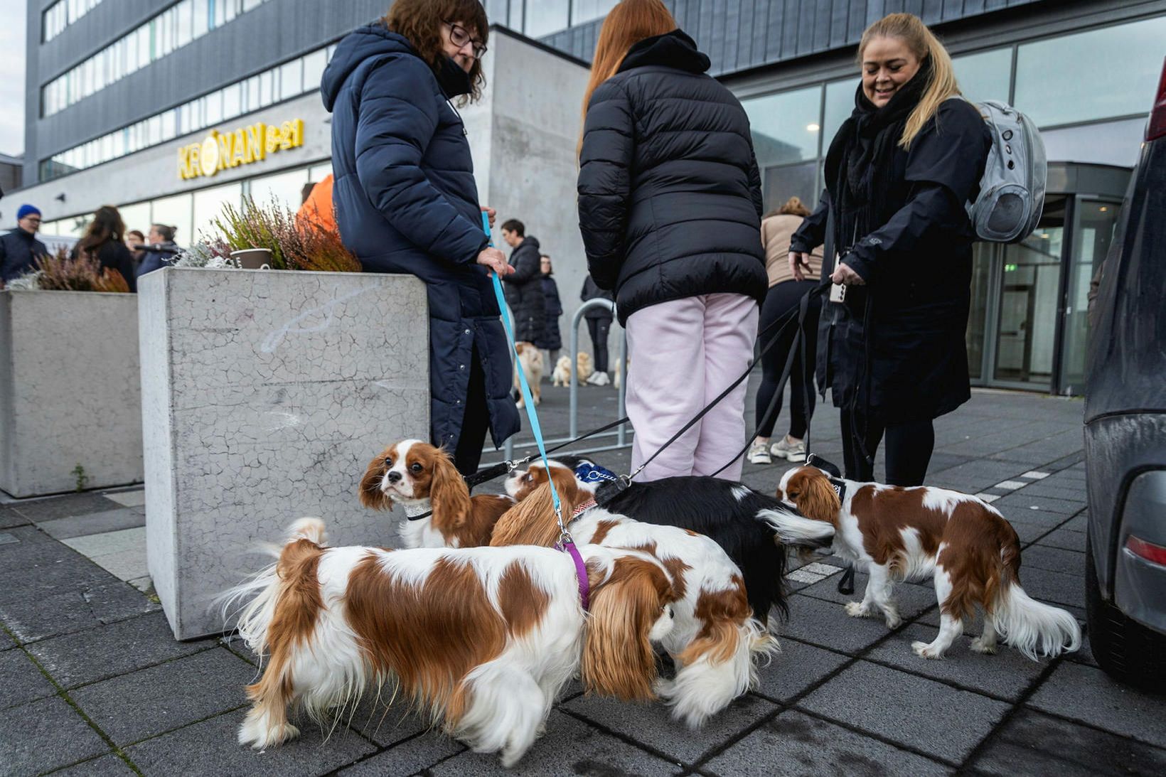 Samstöðufundur um velferð gæludýra var haldinn í dag við matvælaráðuneytið.