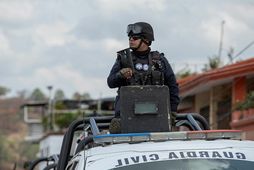 Þjóðvarðliður í bænum Tacambaro í Mexíkó, þar sem enn annars bæjarstórinn var myrtur 6. júní.