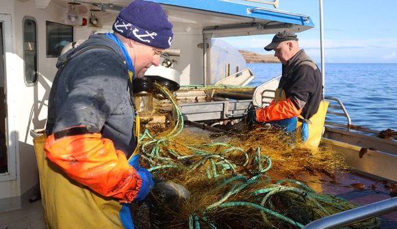 Allt fullt af grásleppu en minni kvóti