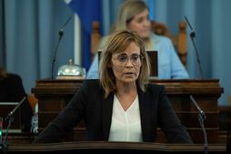 Ingibjörg Davíðsdóttir er sem stendur ræðudrottning kvöldsins um bókun 35.