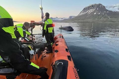 This photograph was taken aboard Vörður II.