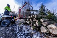 Trjáfellingar við nyjar lóðir við Brekkuhvarf Kópavogi