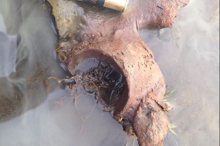 Human bones found near Viking Sword