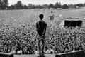 Dýrkun Liam Gallagher á tónleikum í Slane Castle, Írlandi, 1995, um það leyti sem sveitin var á hápunkti ferilsins.