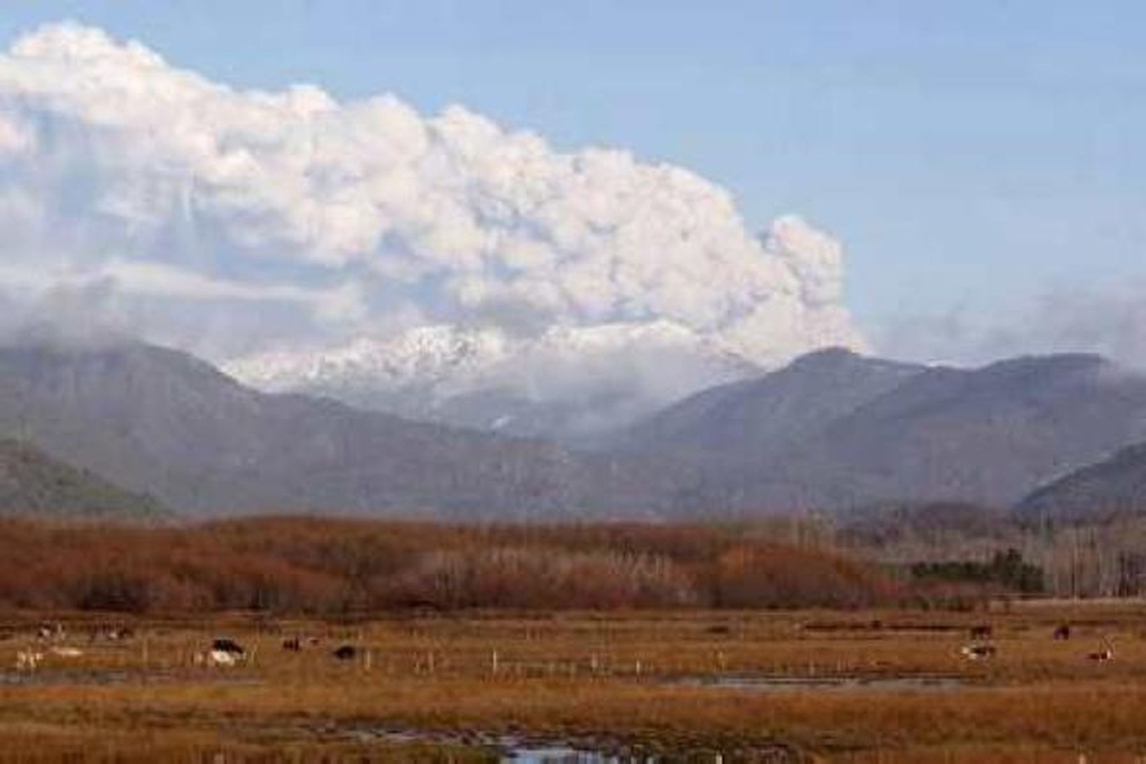 Gosmökkur frá Puyehue eldfjallinu í Síle.