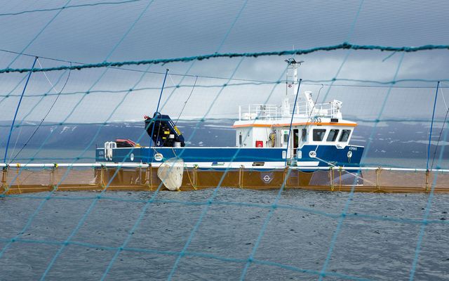 Gjald á fiskeldi í sjó mun hækka um tæpan helming um áramótin.