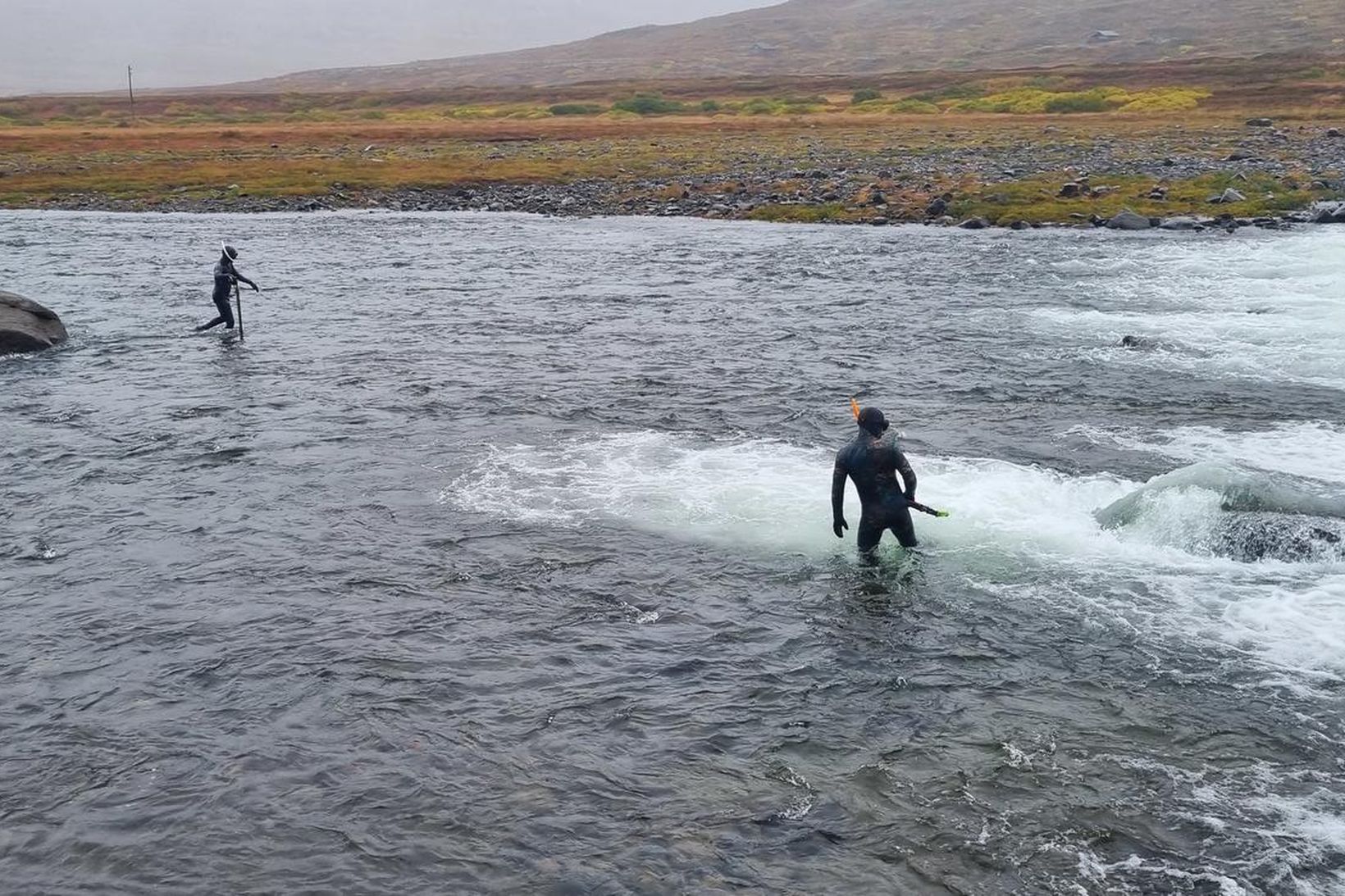 Norsku kafararnir í fullum skrúða í Langadalsá í morgun. Þeir …