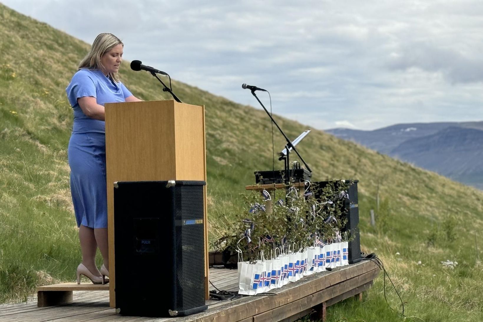 Menningar- og viðskiptaráðherra, Lilja Dögg Alfreðsdóttir.