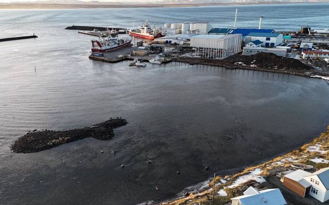 Nýi hólminn í höfninni, sem hannaður var eins og fiskur, séð úr lofti, varð til …