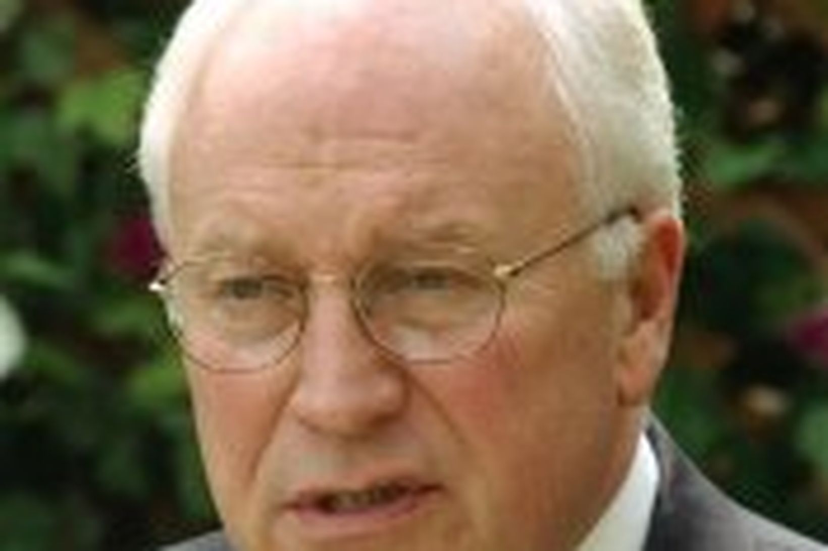 Dick Cheney, varaforseti Bandaríkjanna