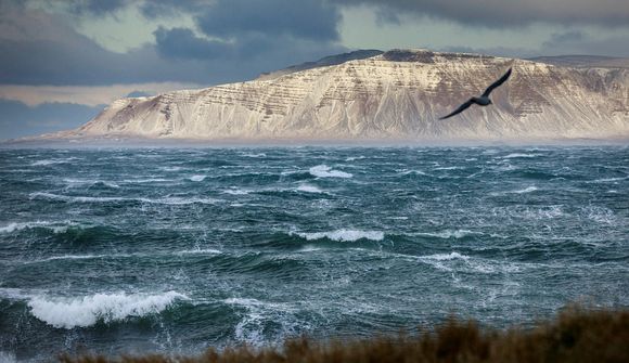 Ríkisstjórnin styrkir þáttagerð