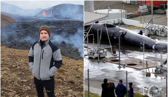 Atvinnu- og heimilislausir við eina ákvörðun