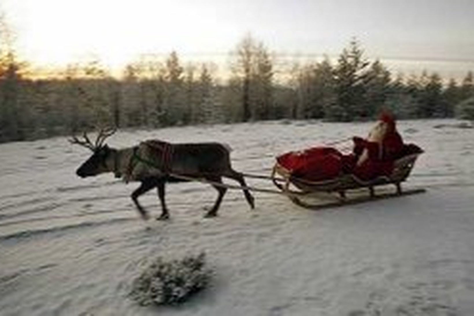 Jólasveinn í flugtaki í Finnlandi nýlega.