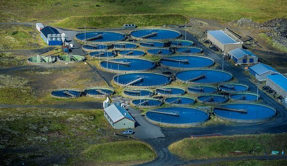 Íslendingar þurfi að vanda til verka