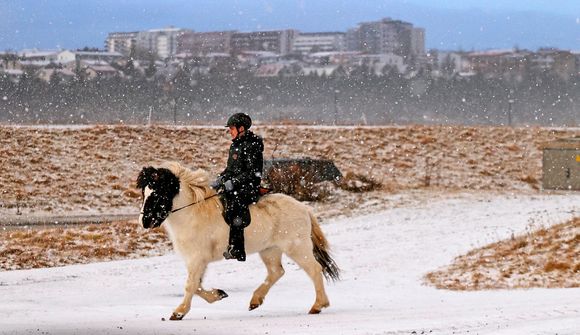 Kuldapollur í Víðidalnum: 22,8 stiga frost 