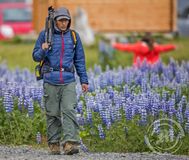 Erlendir ferðamenn við Víkurfjöru í Mýrdal