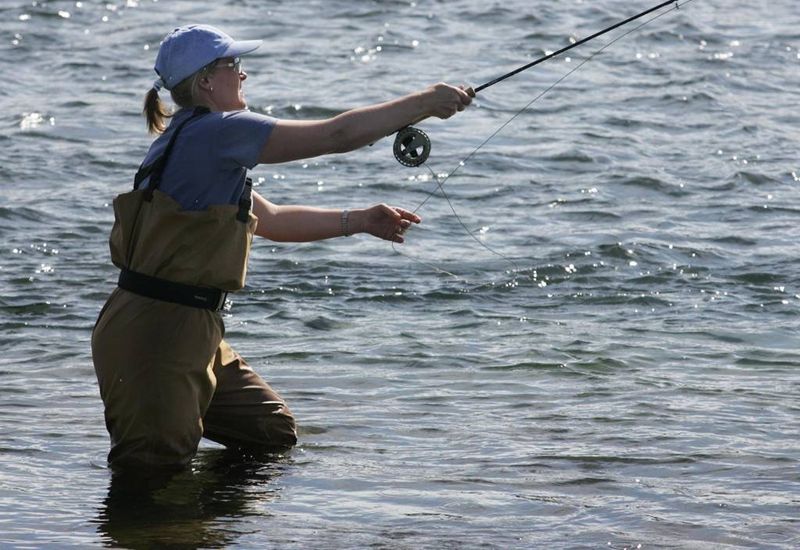 The catch so far this summer has been disappointing.