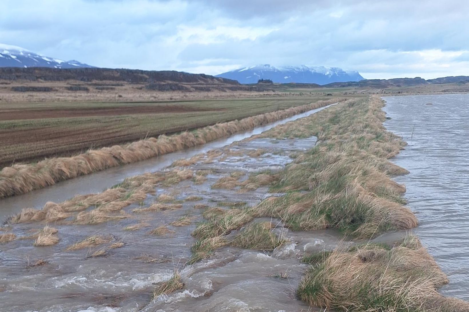 Héraðsvötn flæddu yfir tún í Skagafirði í vatnavöxtunum.