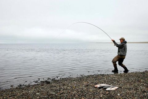 A fisherman catching Arctic char in a lake in Iceland.