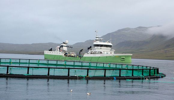 Úthlutað til hæstbjóðanda