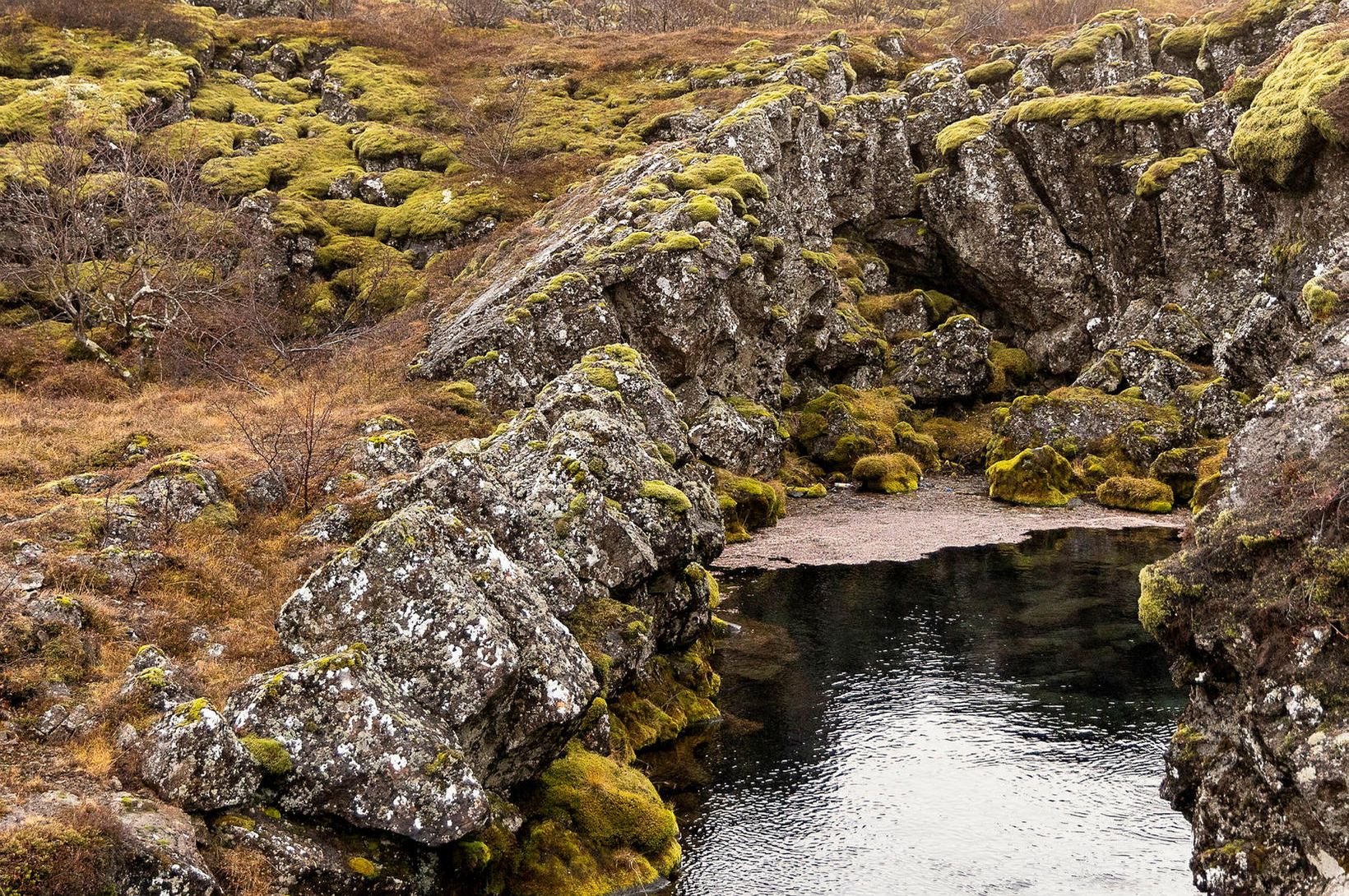 Beint: Flokkarnir ræða umhverfis- og loftslagsmál 