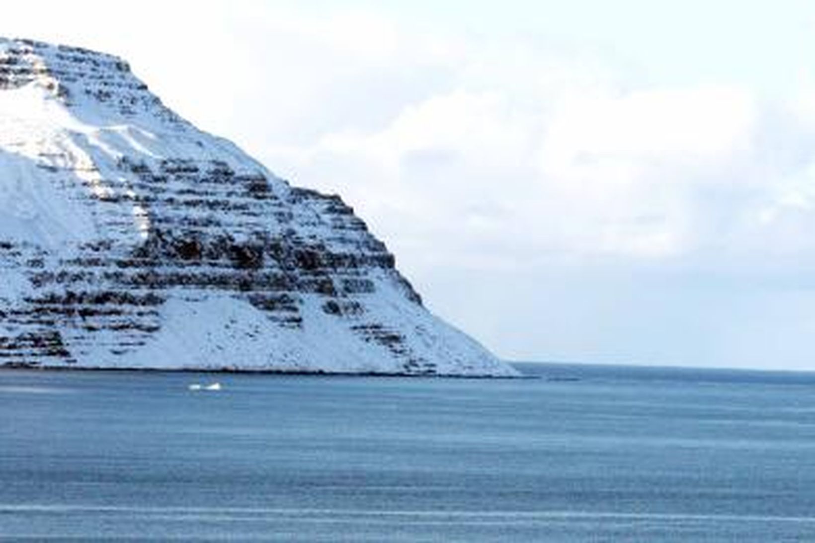 Tveir jakar hafa sést í Önundarfirði. Myndin er tekin í …