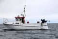 Strandveiðar Strandveiðarnar ganga glatt þessa dagana og heildaraflinn nálgast nú níu þúsund tonn. Veiðiheimildir nú nema tíu þúsund tonnum.