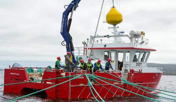 Innheimta auðlindagjald af fiskeldi frá áramótum