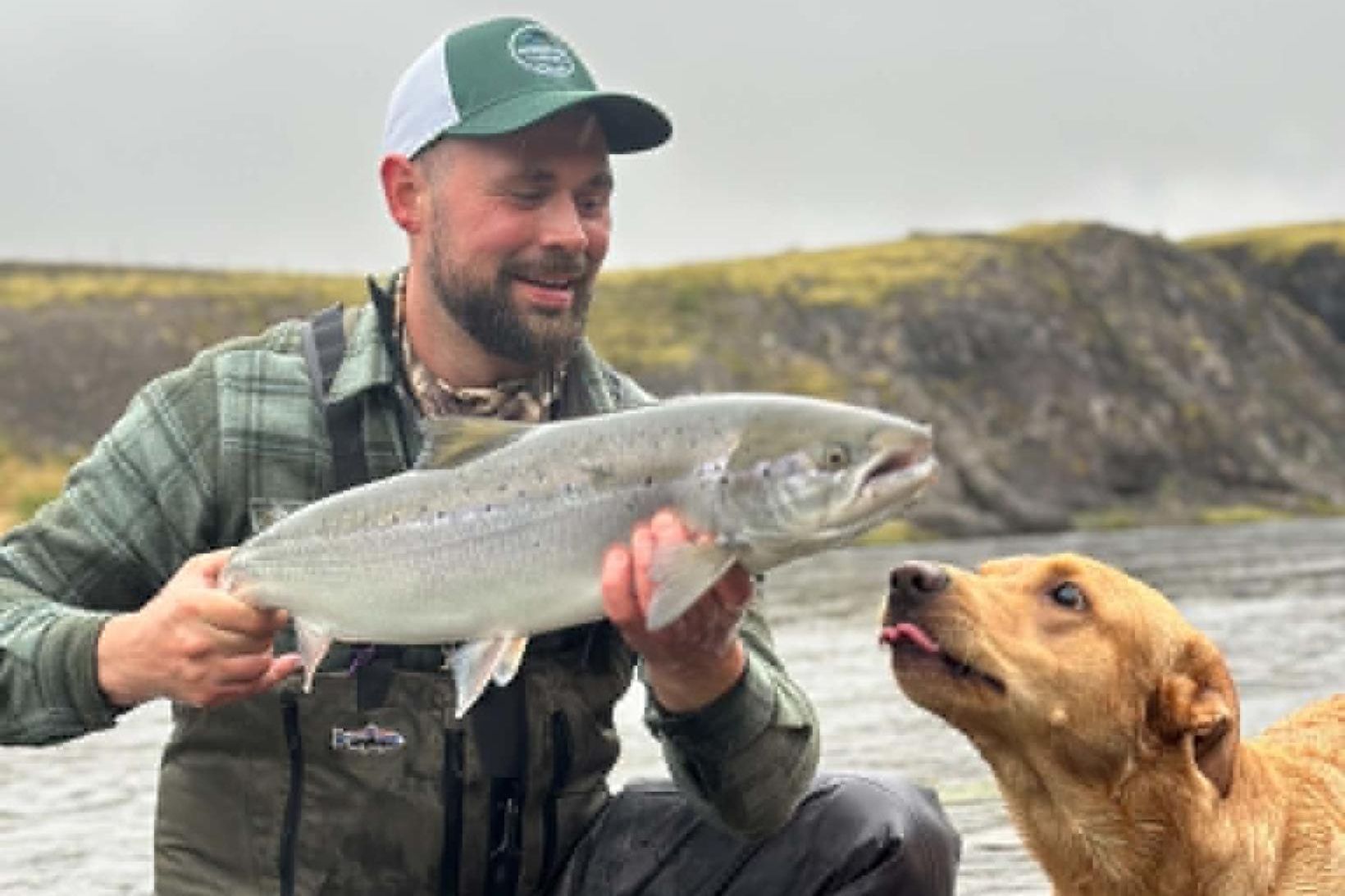 Fjaraði hratt út í Norðurá