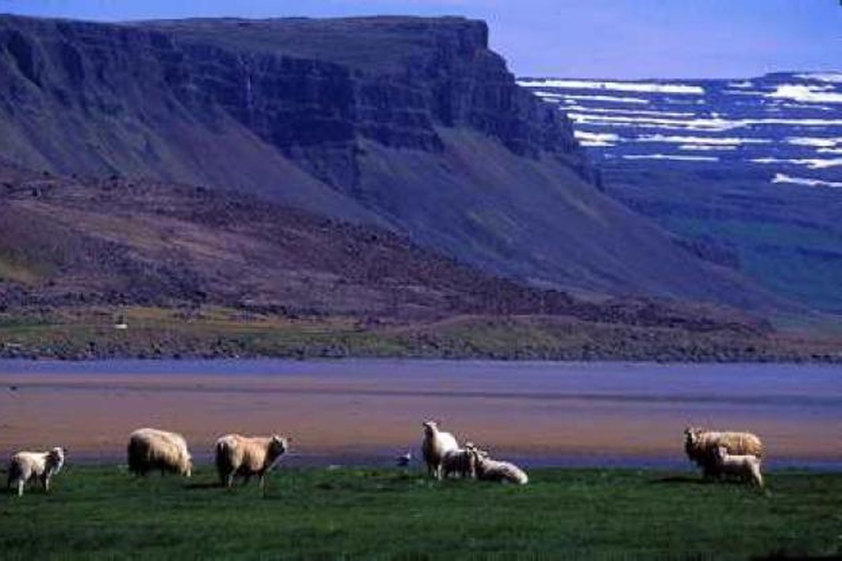 Rauðisandur í Vestur-Barðastrandasýslu