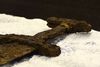 Video: Viking sword was just "waiting to be picked up"