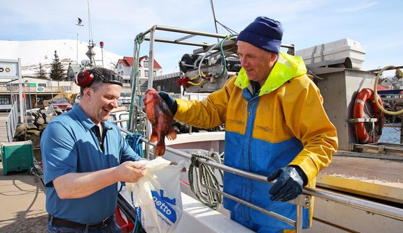 Vorboðinn mættur til Húsavíkur
